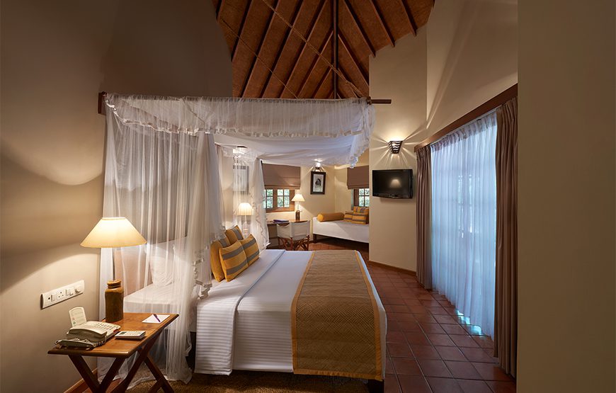 Cinnamon Wild Yala